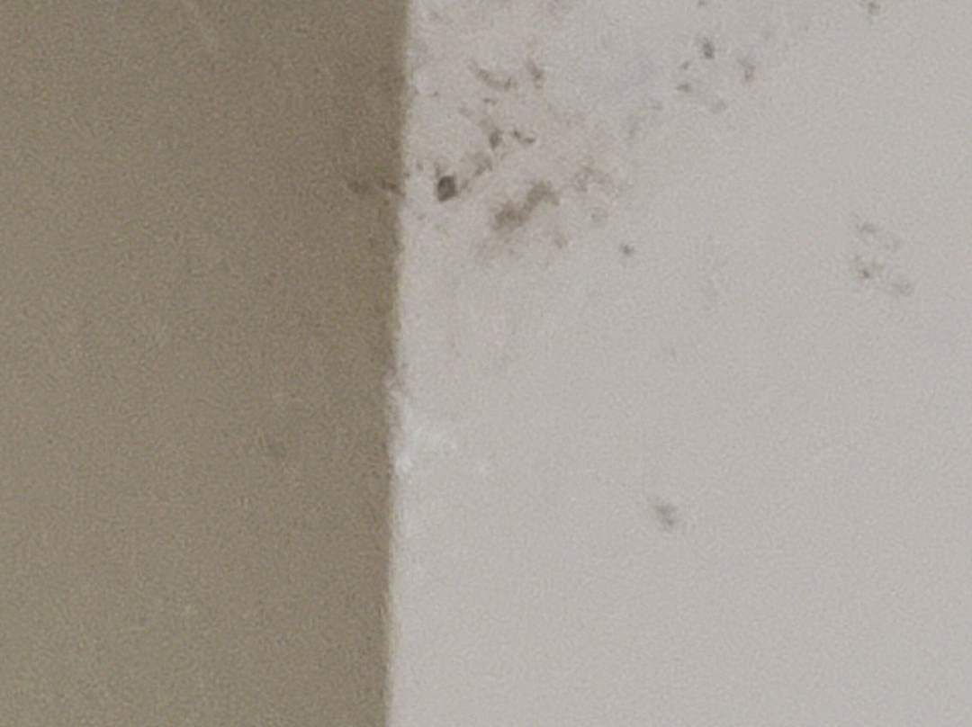 Baymont by Wyndham Florence/Muscle Shoals主图