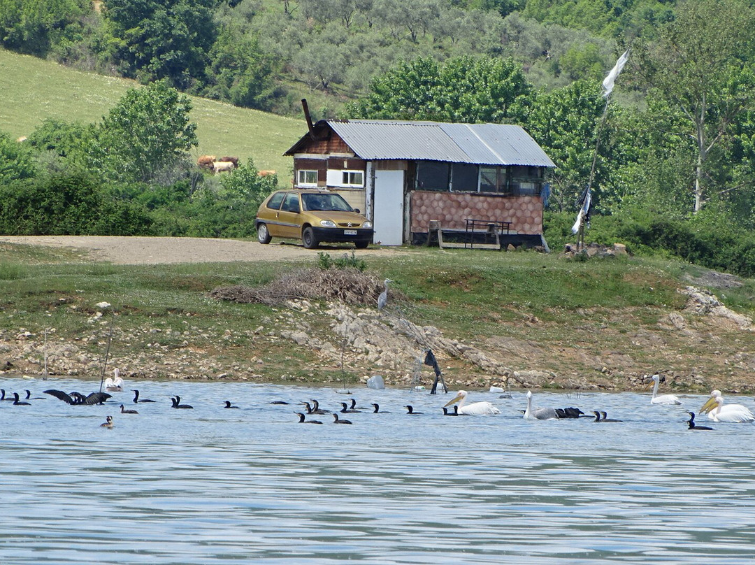 Kerkini Lake景点图片