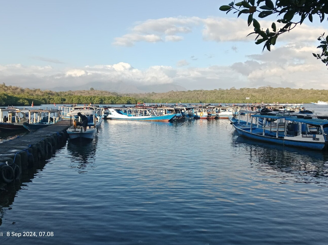Menjangan Trip West Bali景点图片