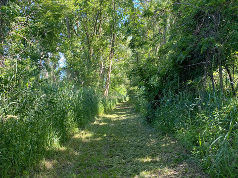 East Harbor State Park-Marblehead必去景点