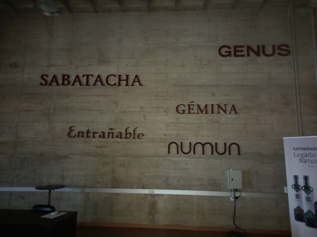 Bodegas San Isidro - B.S.I-Jumilla必去景点