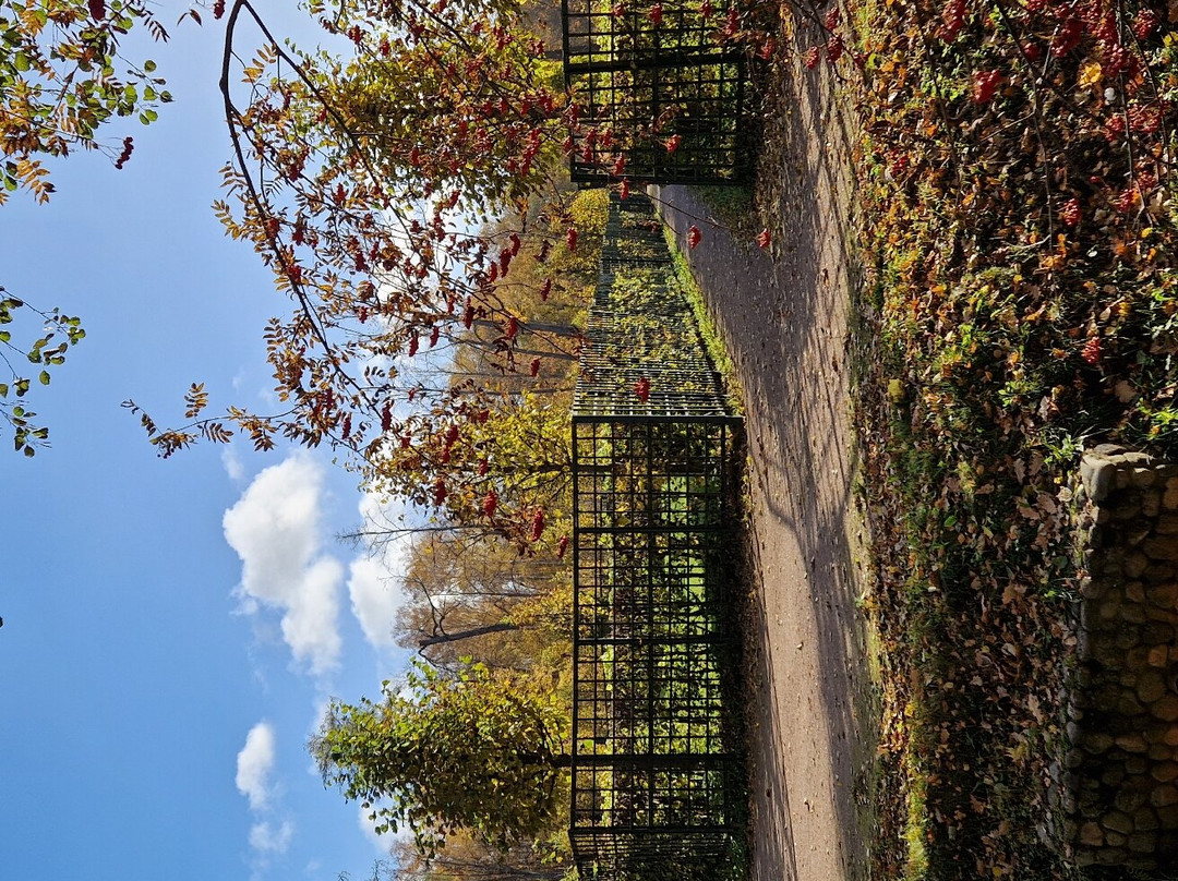 Nizhniy Park-彼得霍夫必去景点