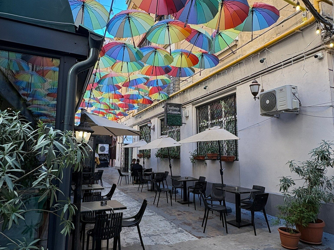 Pasajul Victoriei-布加勒斯特必去景点