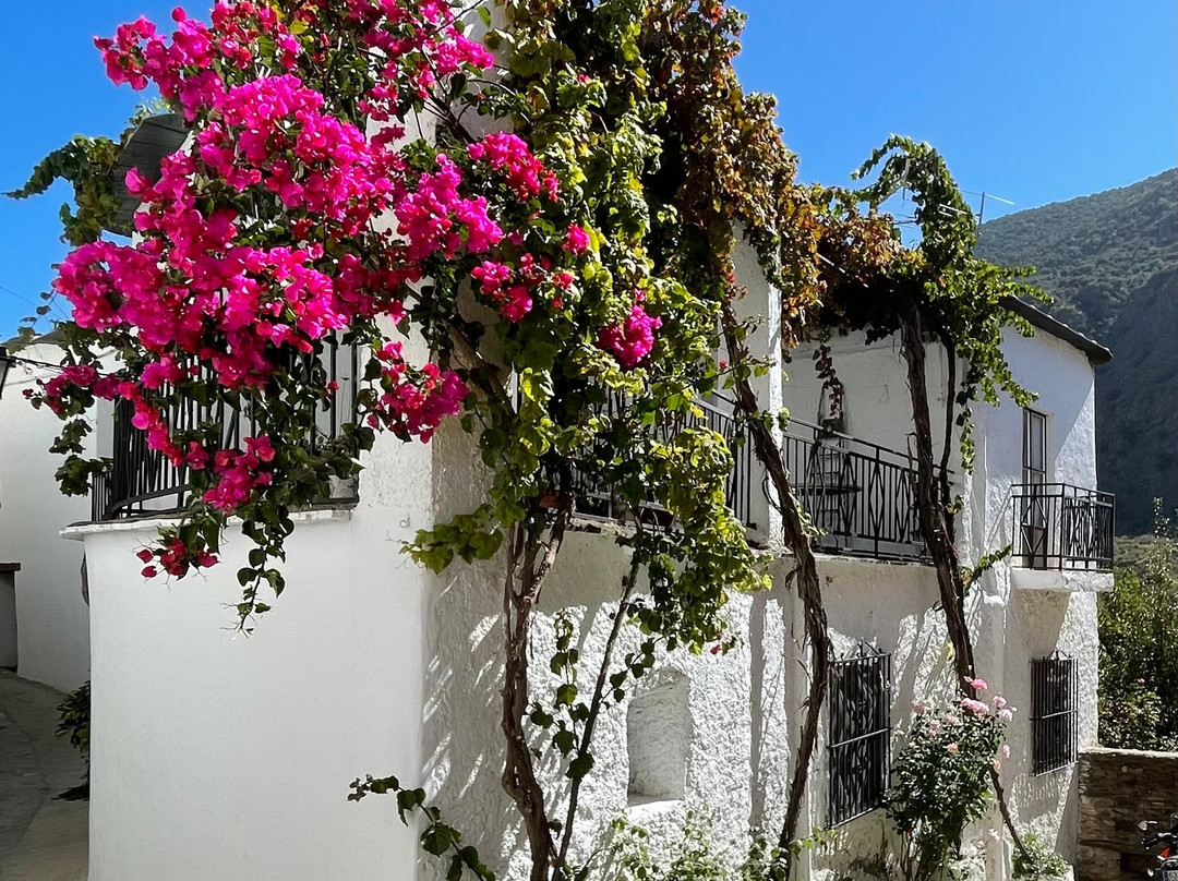 Casa Ana主图