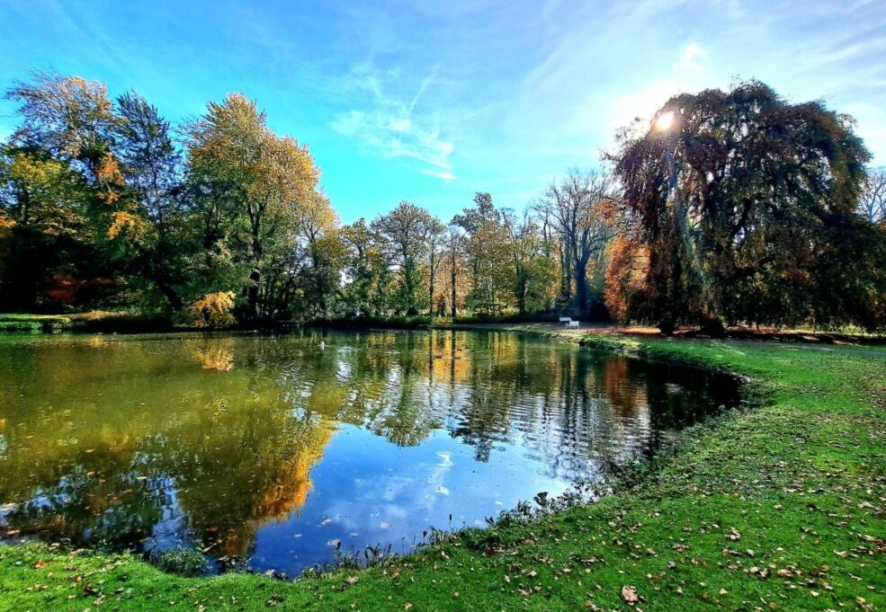 Gräeflicher Park Spa景点图片