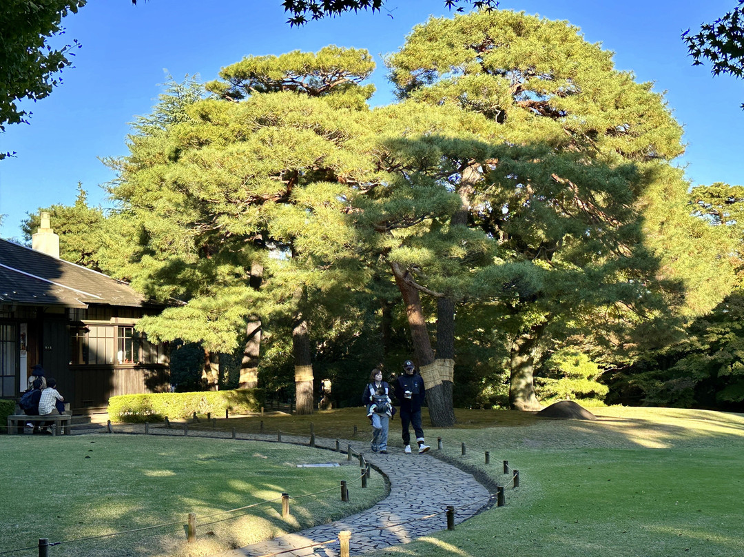 Tonogayato Garden-国分寺市必去景点