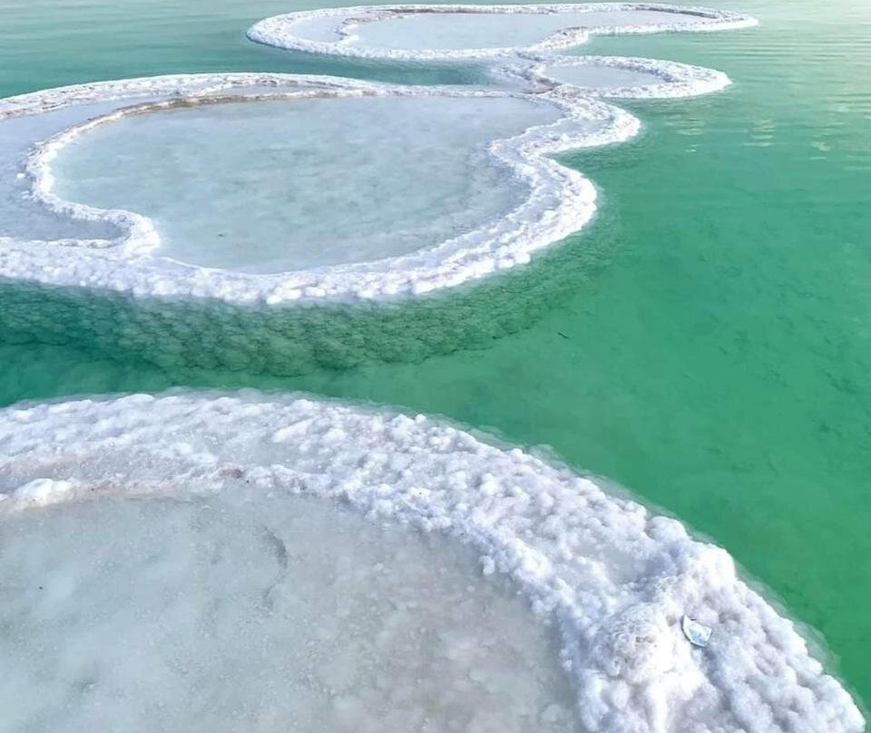 Nadia Hosting Dead Sea