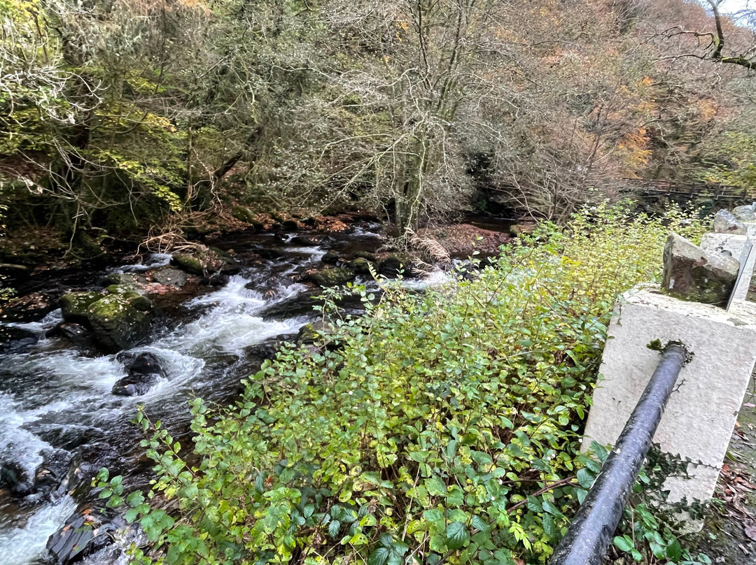 The Rockford Inn主图