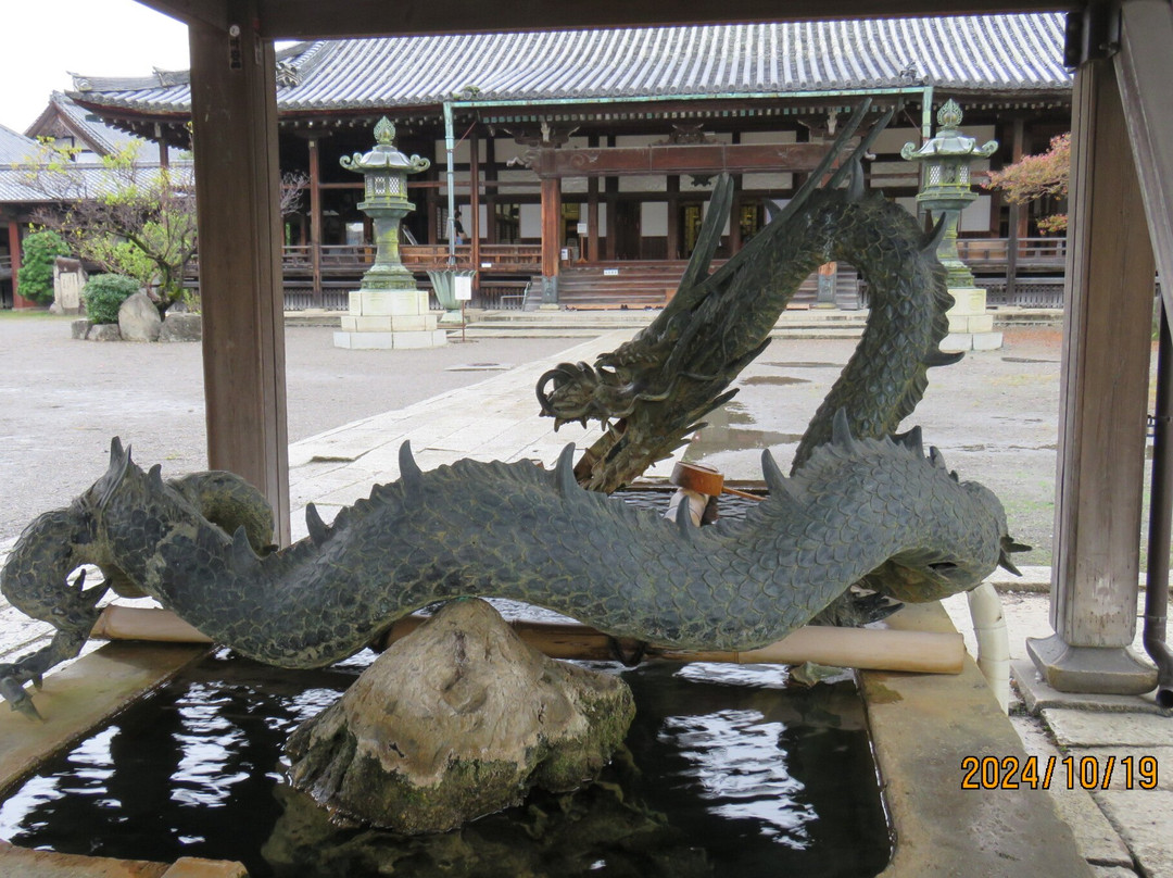 Daitsuji Temple-长滨市必去景点