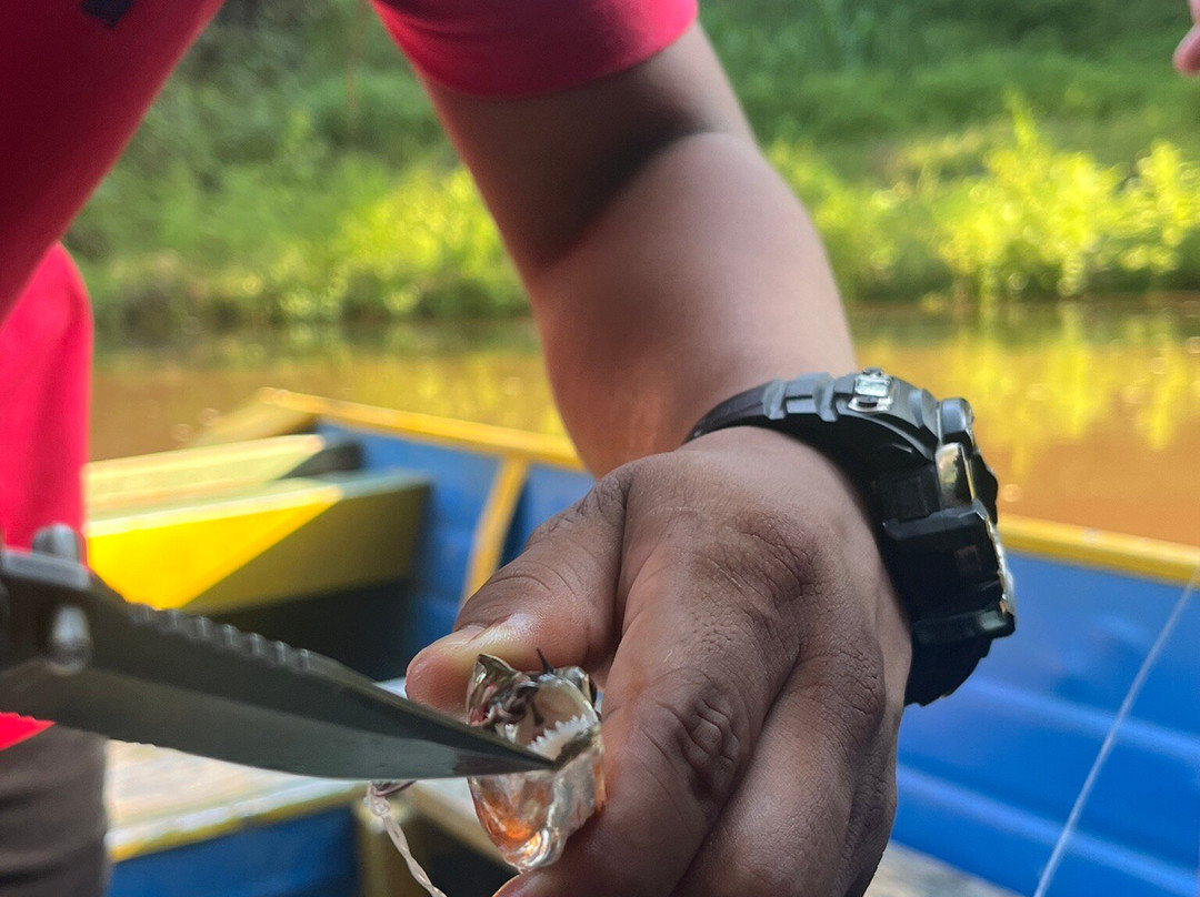 Yakumama Amazon Tours-伊基托斯必去景点