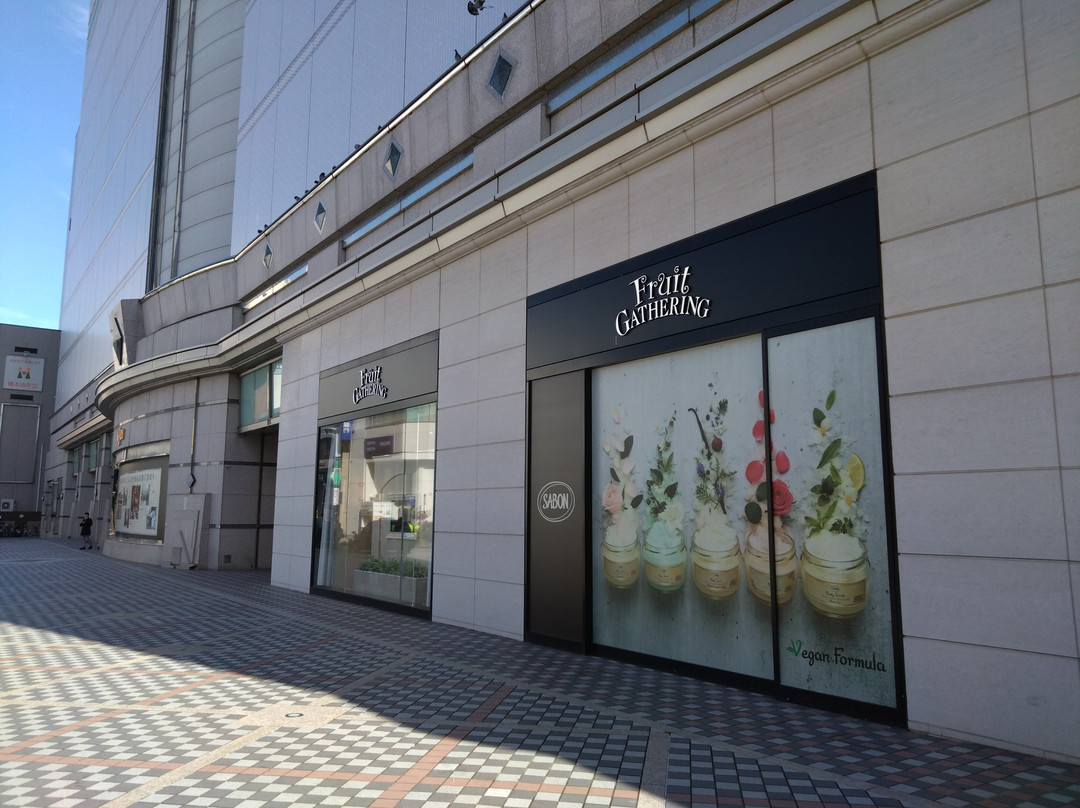 Usui Department Store-郡山市必去景点