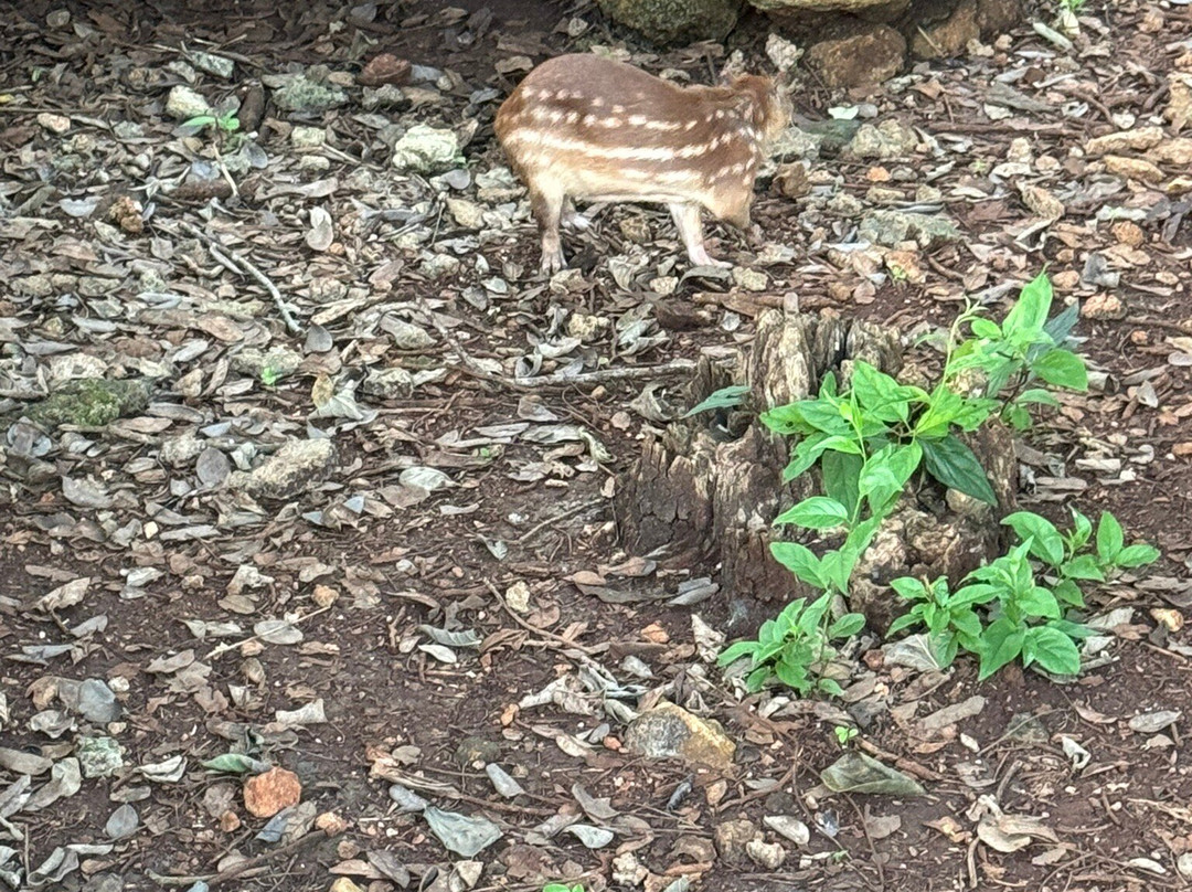 Vallazoo-巴利亚多利德必去景点
