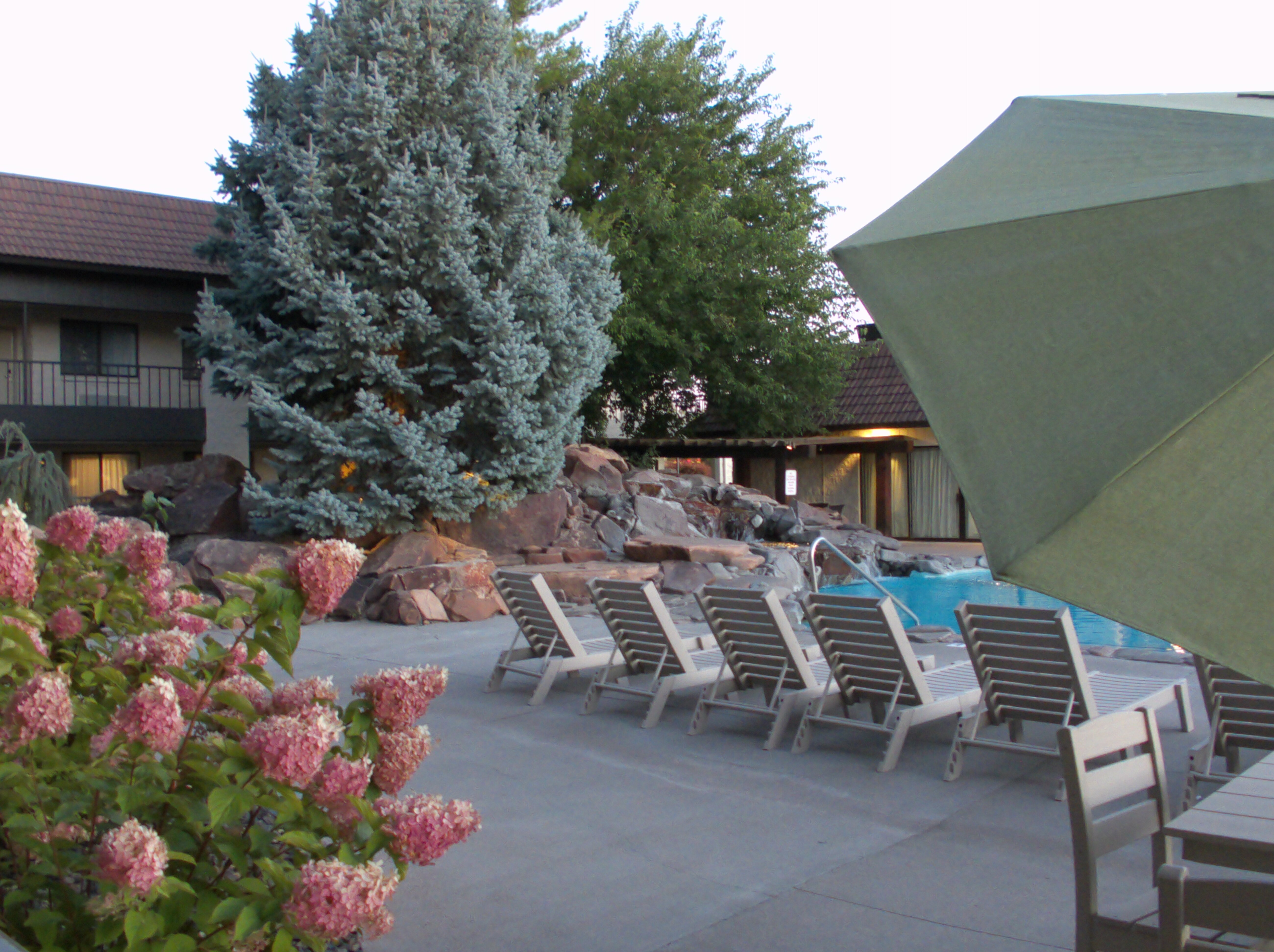 Best Western Foothills Inn-泳池