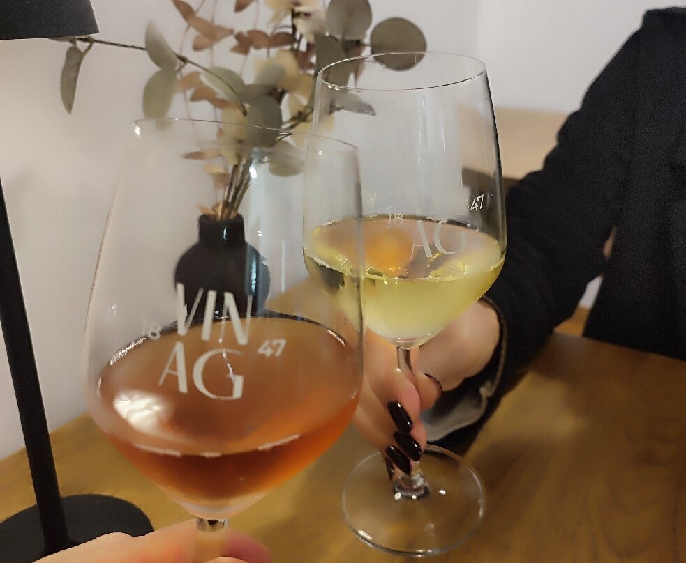 Vinag Wine Cellar-马里博尔必去景点