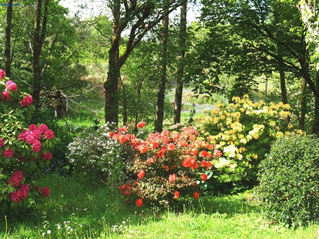Inverawe Cottages