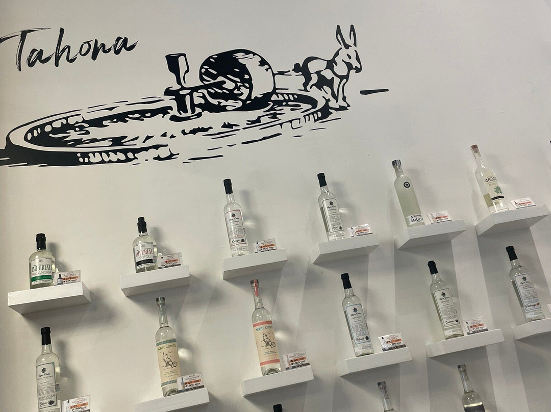 Agave Elite Experience景点图片