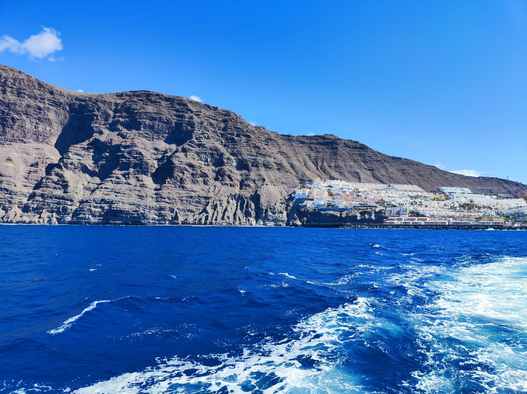 Neptuno Whale Experience Tenerife-特内里费岛必去景点