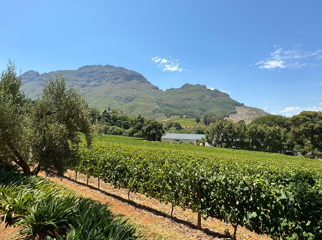 Cape Trio Tours-开普敦中心区必去景点