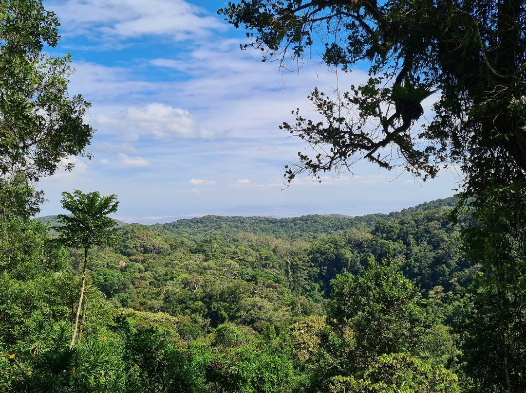 Parc Nationale Montagne D'ambre景点图片