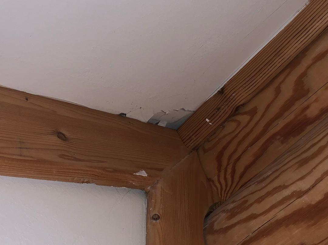 Szent Orban Erdei Hotel主图