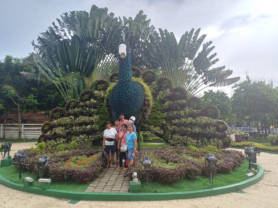 The Garden Ciudad de Victoria景点图片