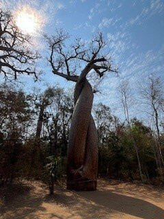 Tour Malin Madagascar景点图片