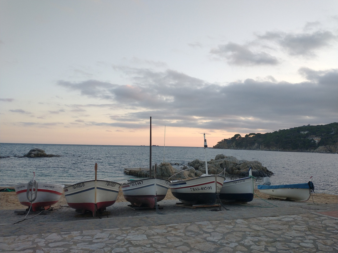 Creative Catalonia - Bike Holidays Girona Spain景点图片