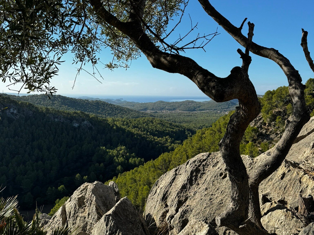 Rad International Mallorca-帕格拉必去景点