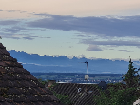 Gasthof Gruener Baum主图