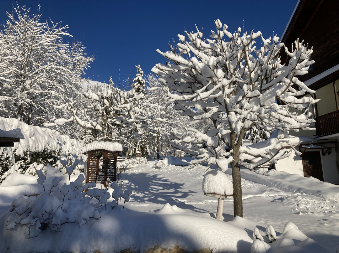 Novy Smokovec酒店住宿-Vila Limba