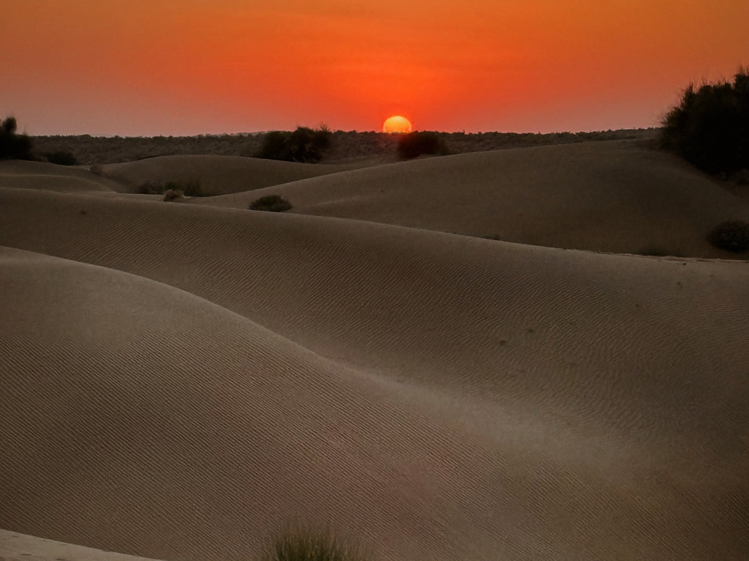 Sahara Travels Day Tours景点图片