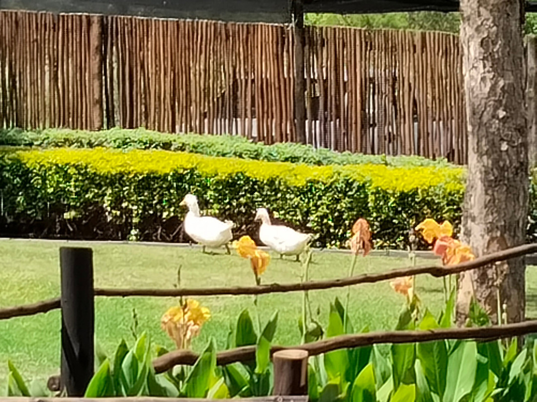 Falcon Glen Hot Springs Resort主图