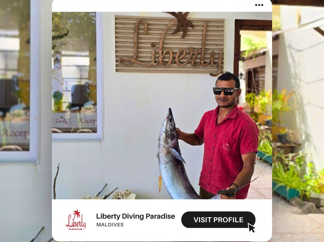 马尔代夫自由旅馆主图