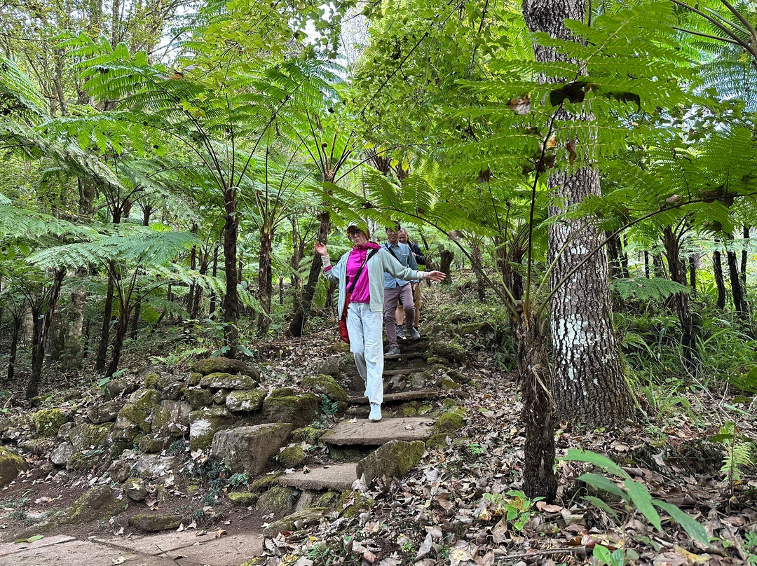 The Royal Agricultural Station Inthanon-宗通必去景点