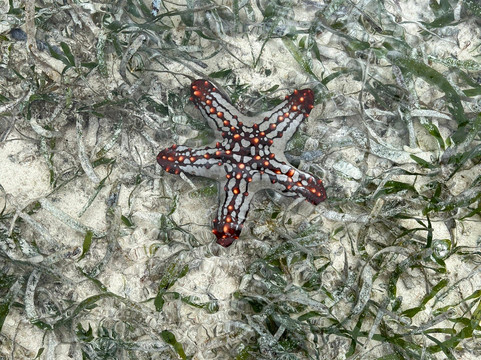 Kikko Kenya Safari-瓦塔木必去景点