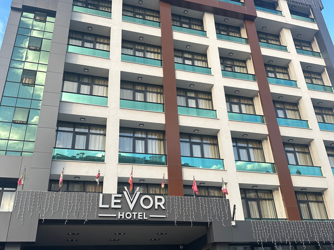 Levor Hotel主图