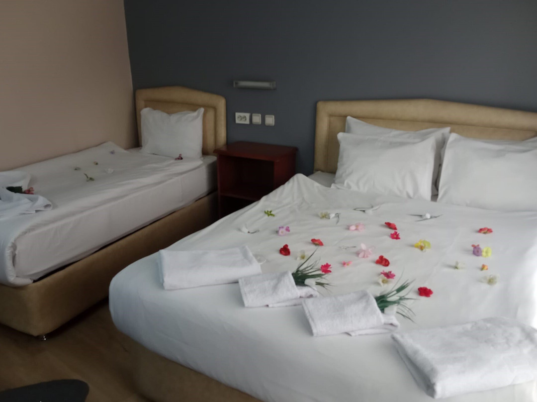 Hotel Cesmeli主图
