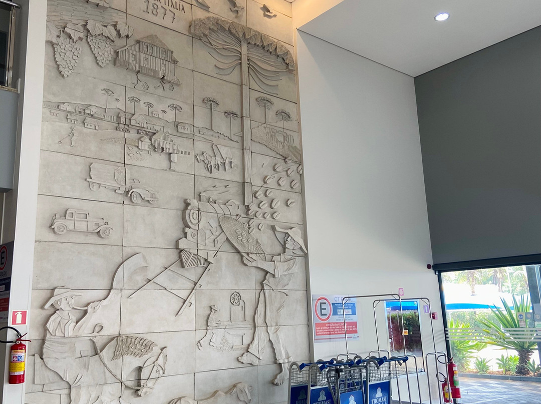 Hotel Thomasi Maringá Express主图