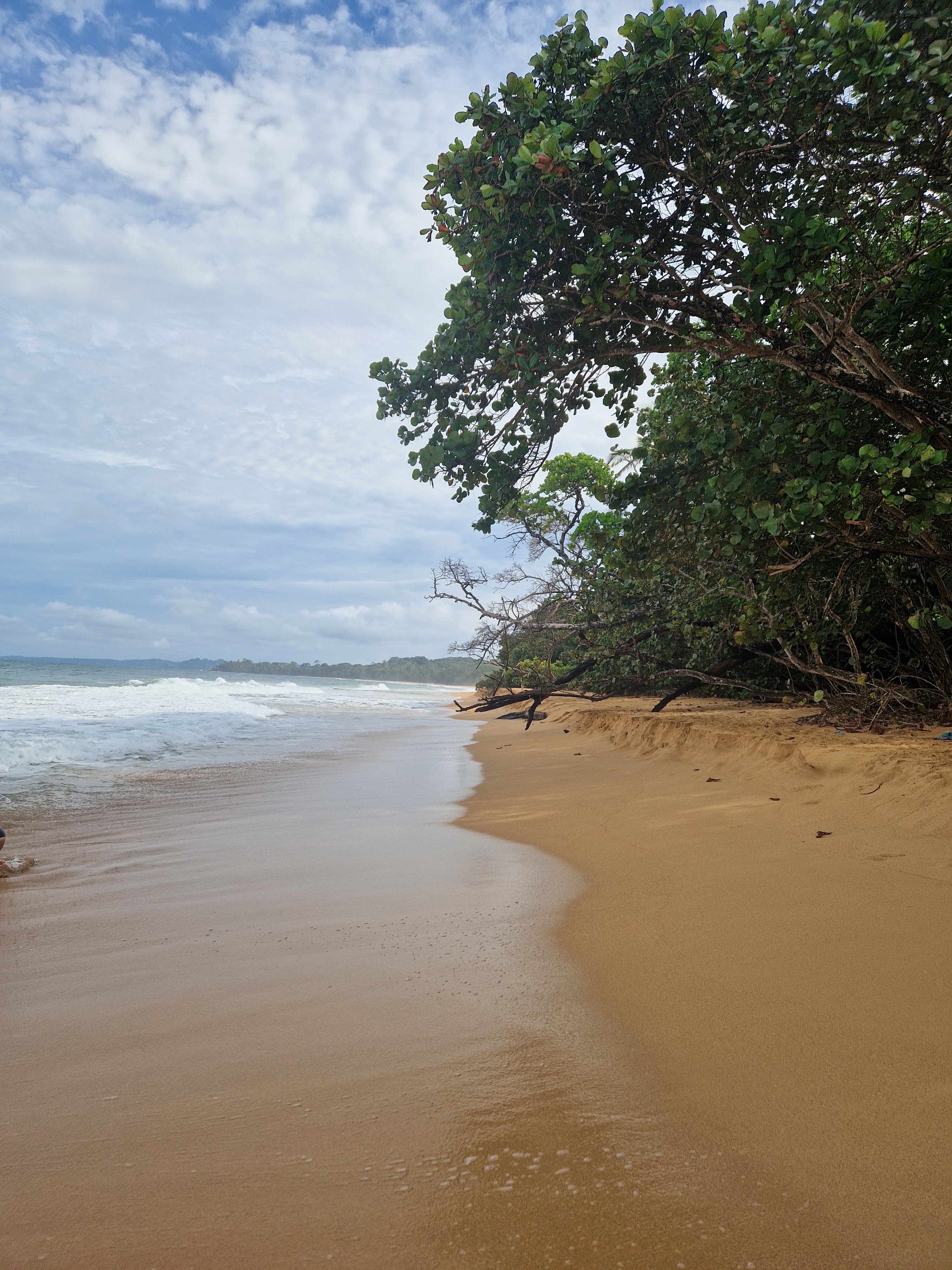 Playa Bluff Hotel-官方