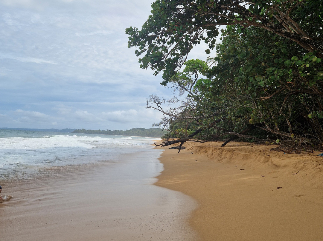 Playa Bluff Hotel主图