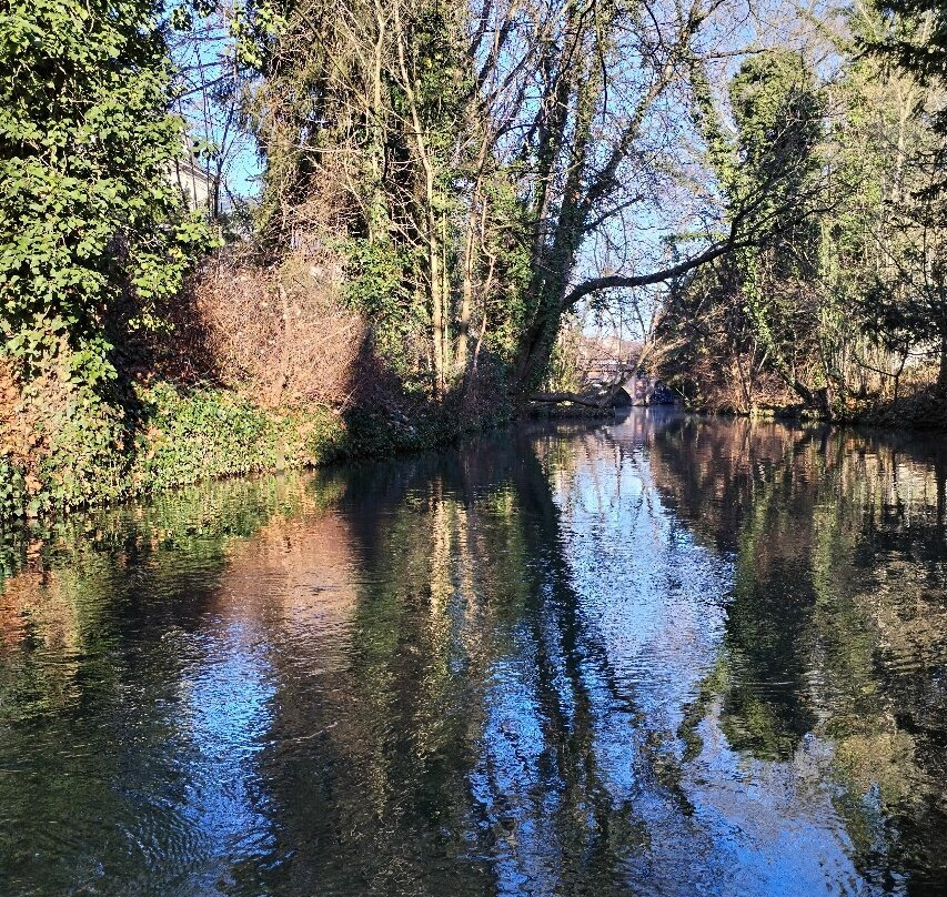 Barque Colmar "au fil de l’eau" - Sweet Narcisse-科尔马必去景点
