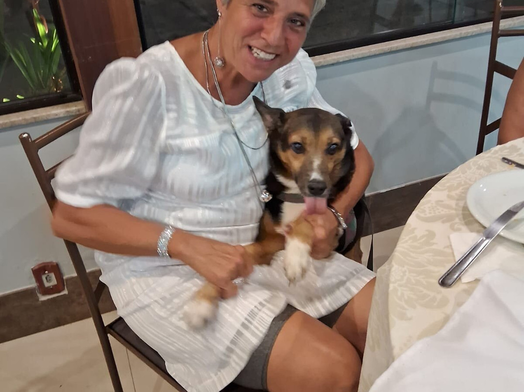 Vilanova Parque Hotel主图