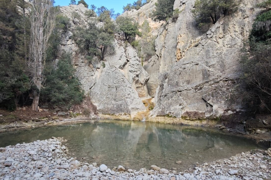 Font d'en Torres主图