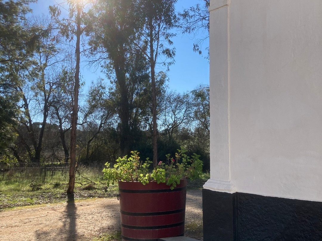 Herdade Do Mouchao景点图片