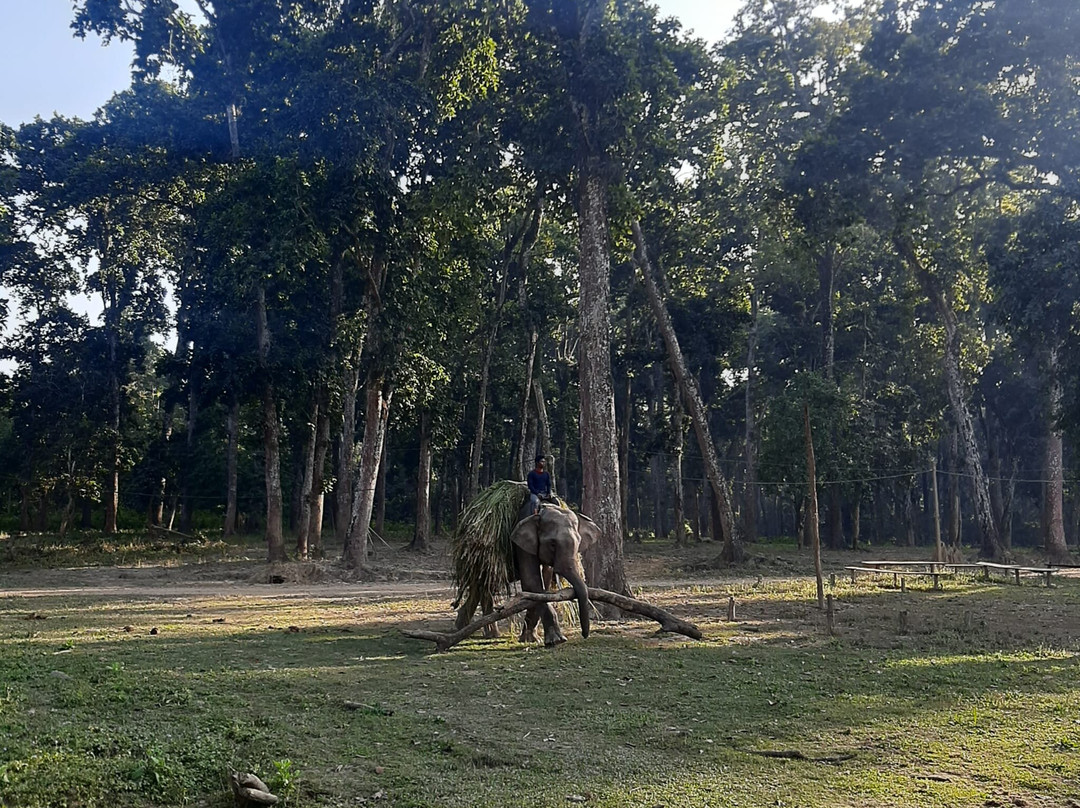 Himalayan Summit Treks And Expedition-加德满都必去景点