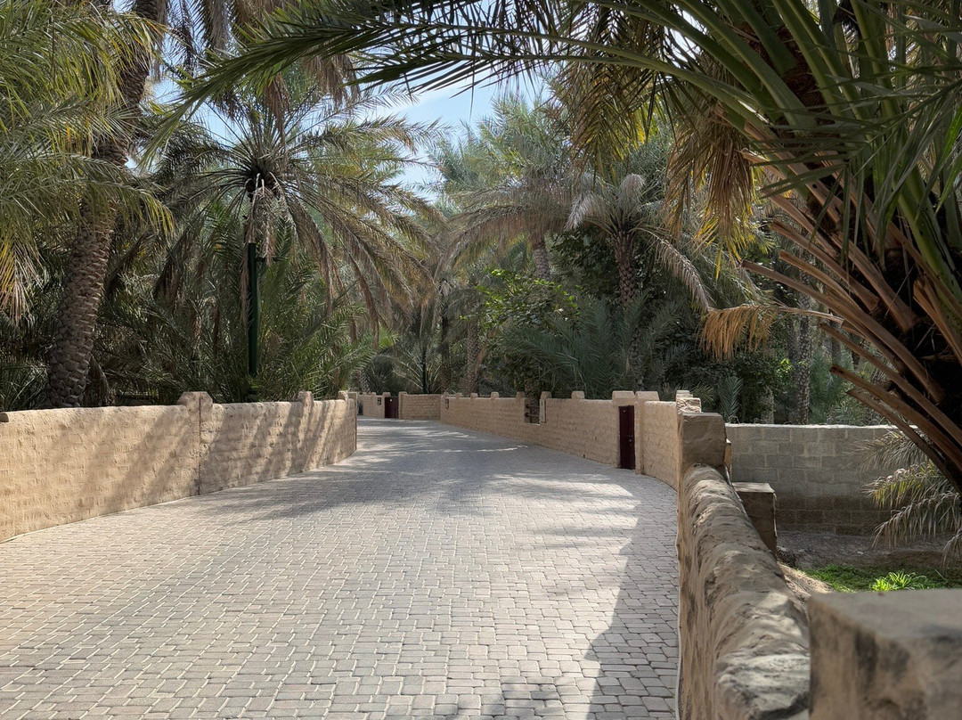 Al Ain National Museum-艾因市必去景点