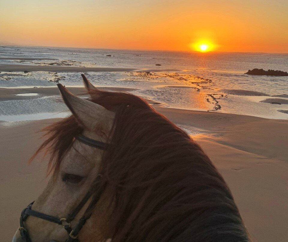 Horse Adventure Essaouira
