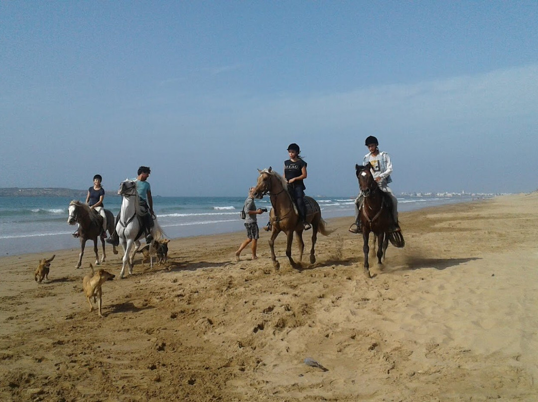 Taxi Arganier Essaouira Marrakech-索维拉必去景点