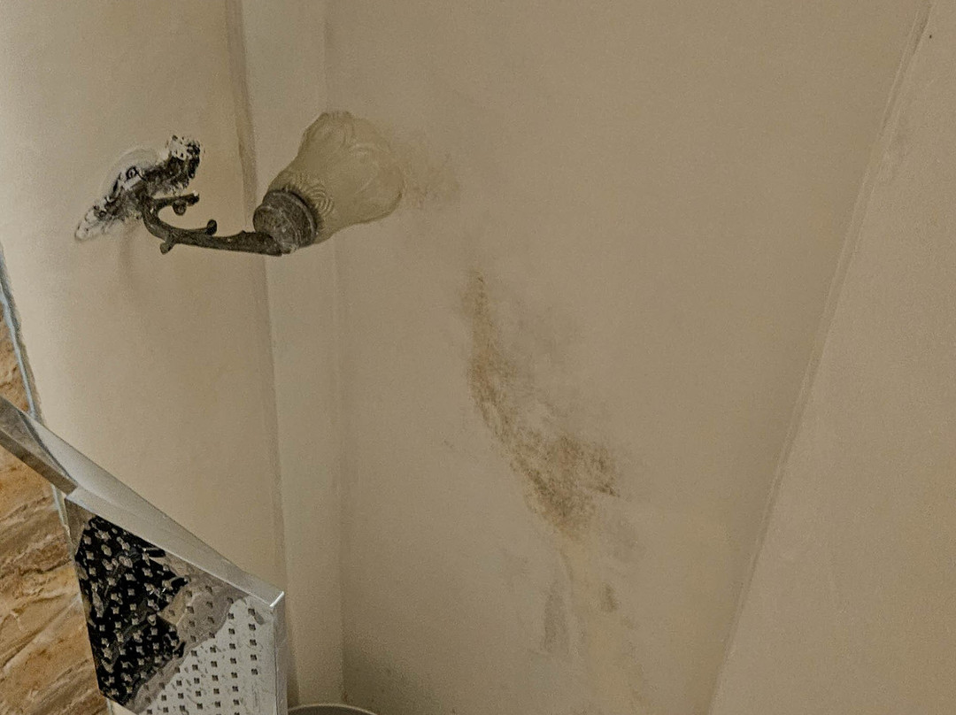 Ghanerao Royal Castle Ranakpur主图