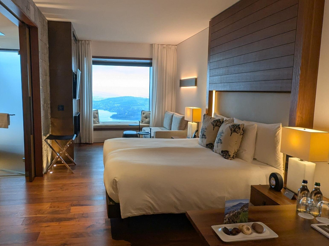 Bürgenstock Hotel & Alpine Spa主图